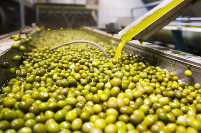 Corinth & Olive Oil Tasting Private Tour from Athens - Key points to know before booking