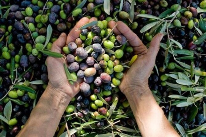 Corinth & Olive Oil Tasting Private Tour from Athens - The fortress of Acrocorinth