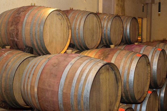 Cretan Delights - Wine, Olive Oil & Cooking Workshop from Chania - Who should book this experience