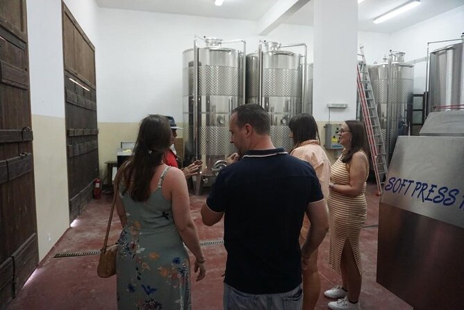 Cretan Wines & Olive oil tour - The treasures of Crete - Who will enjoy this tour most