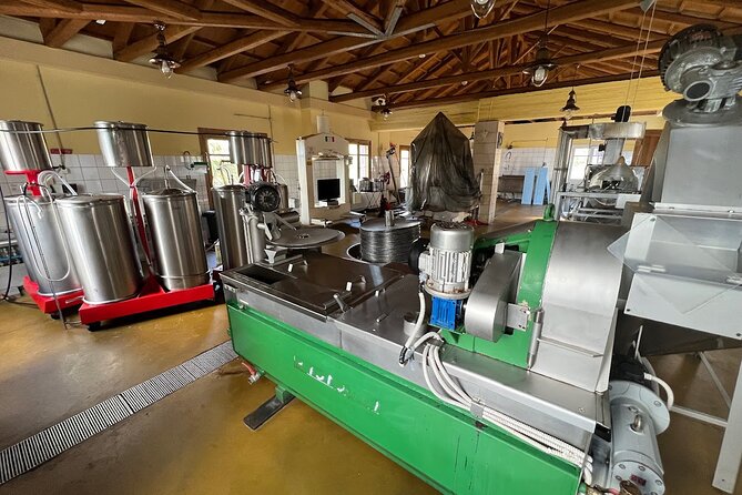 Crete Discovery Palace of Knossos, Wine and Olive Oil Experience - Lyrarakis Winery and Cretan grape varieties