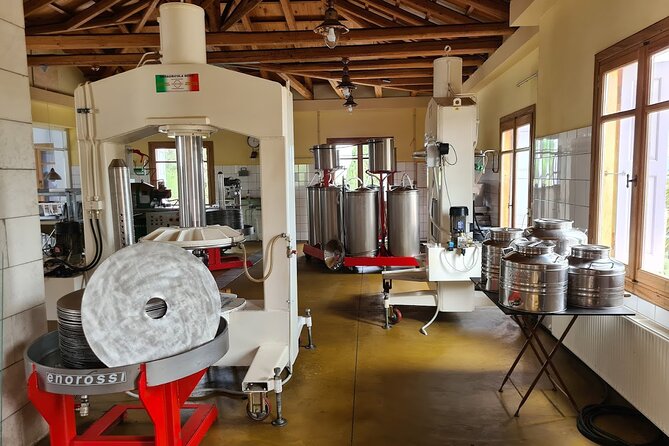 Crete Discovery Palace of Knossos, Wine and Olive Oil Experience - Lunch in Archanes, with the bill left to you