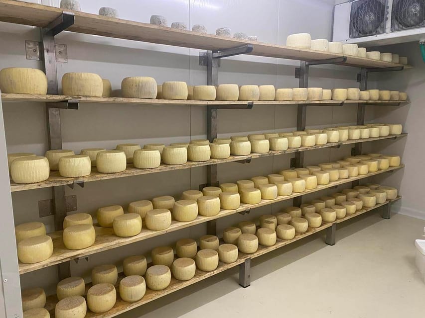 Crete: Jeep Safari Wine & Olive Oil testing Shepherd's House - Key points to know before booking