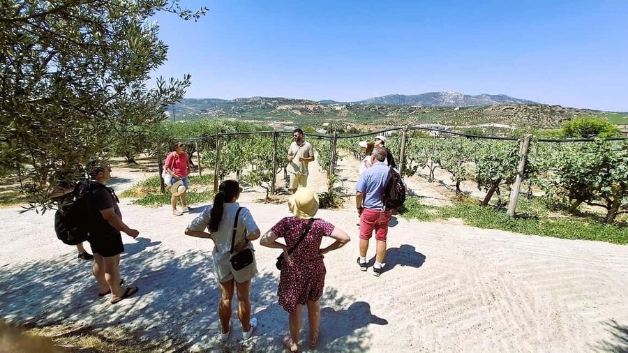 Crete: Knossos Palace, Winery & Olive Oil Tour with Lunch - Key points to know before booking