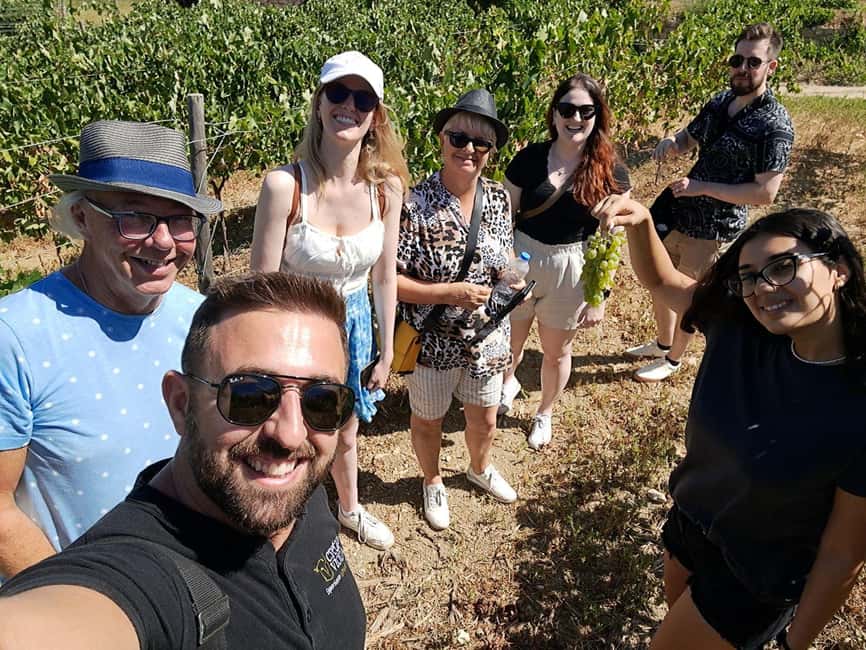 Crete: Knossos Palace, Winery & Olive Oil Tour with Lunch - What to pack and what to expect