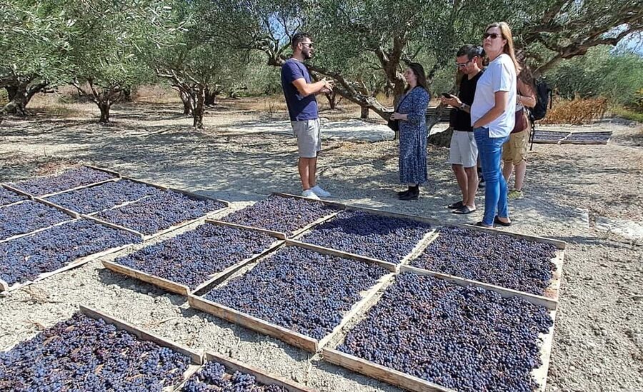Crete: Knossos Palace, Winery & Olive Oil Tour with Lunch - Who should book this tour?