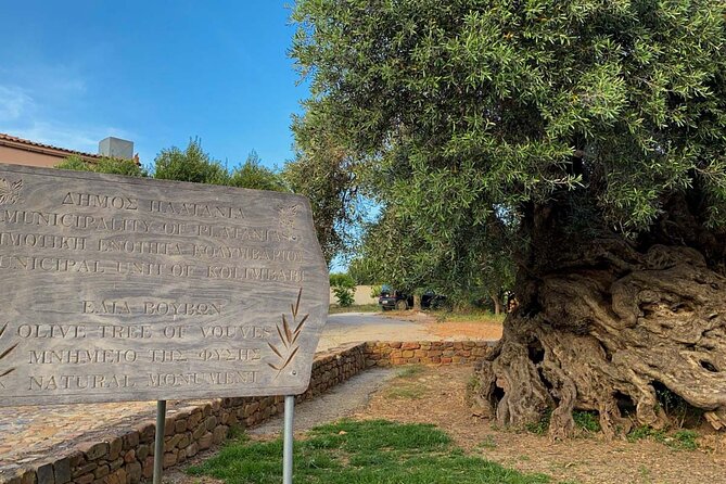 Crete: Local Wine Tasting & Visit to the Ancient Olive Tree - The countryside between Stalos and Vouves