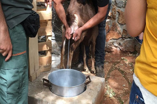 Crete Off-Road & Flavors Safari: Wine, Olive Oil & Mountain Life - Is $138.47 a fair price?