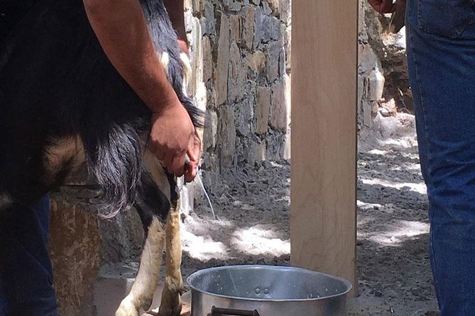 Crete Off-Road & Flavors Safari: Wine, Olive Oil & Mountain Life - Olive oil, wine, honey, and the food behind Cretan cooking