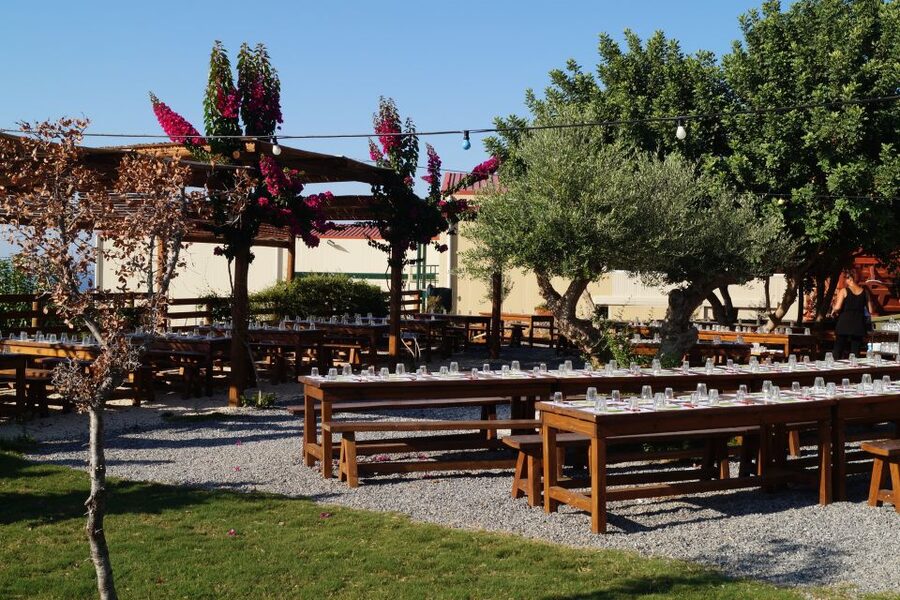 Crete: Olive Oil Factory Tour, Dinner & Traditional Dancing - Live Cretan music and dancing after dinner
