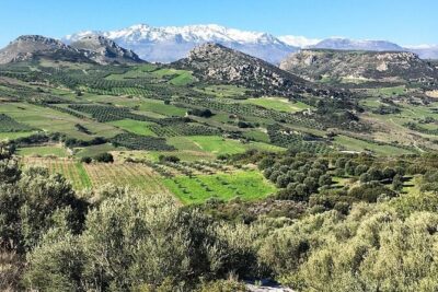 Olive Oil, Soap, Wine, Raki – Flavorful Culinary Journey