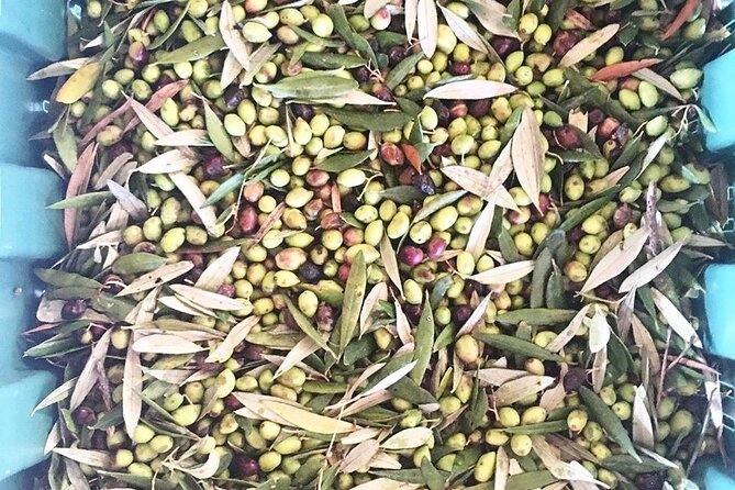 Crete: Olive Oil, Soap, Wine, Raki - Flavorful Culinary Journey - The soap workshop is the surprise of the day