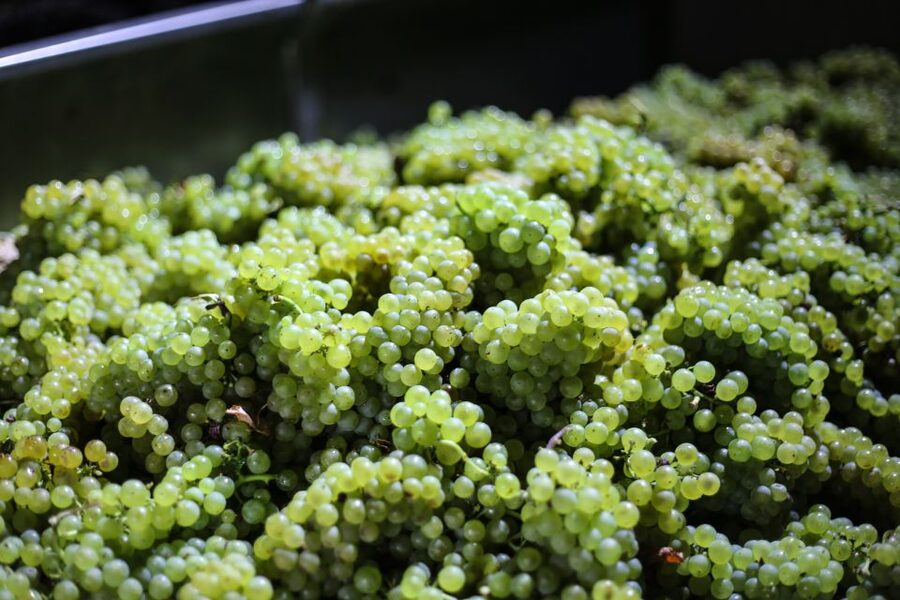 Crete: Olive, Wine, & Raki on a Flavorful Culinary Journey - Key points to know before booking