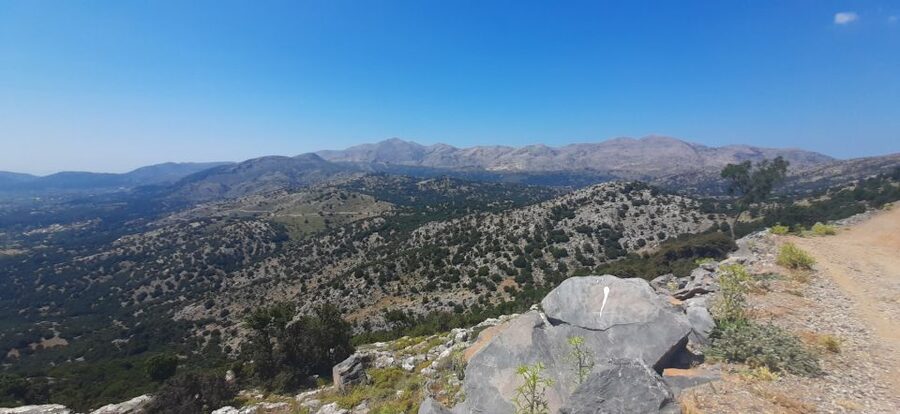 Crete: Olive, Wine, & Raki on a Flavorful Culinary Journey - The vehicle, guide, and small-group feel