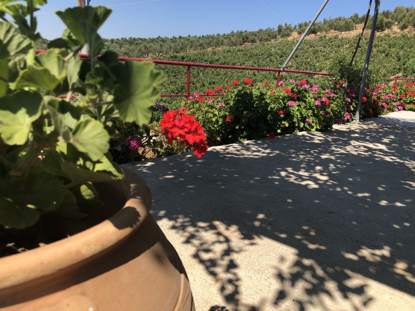 Crete Private Tour: The Secrets of Wine, Olives & Honey - Garazo, where the road slows down