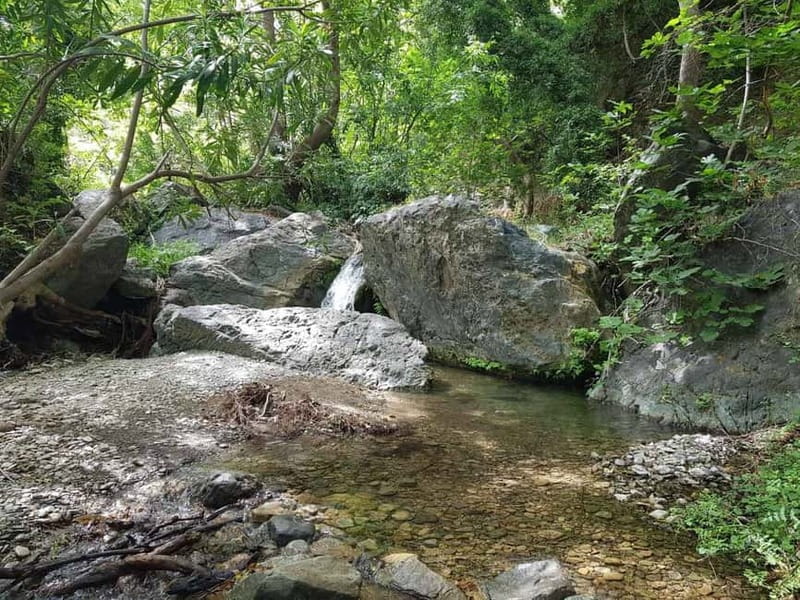Crete: Richtis Waterfall Full-Day Tour with Olive Tasting - What the guides add to the day