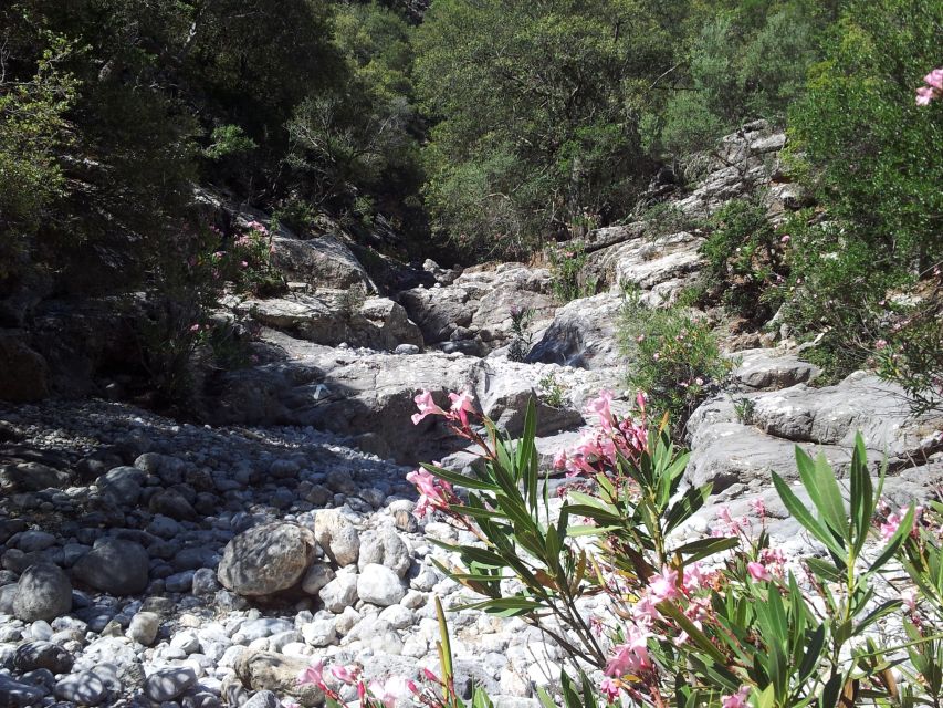 Crete: Richtis Waterfall Full-Day Tour with Olive Tasting - What to bring and who should book