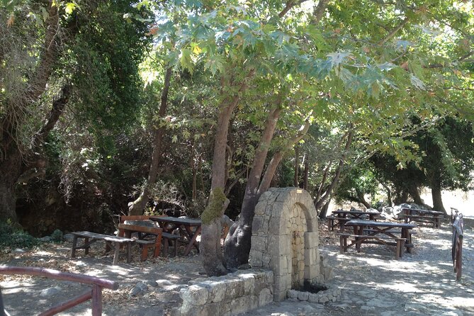 Crete's Wine and Olives Safari Tour from Chania - Who will enjoy this Crete food tour