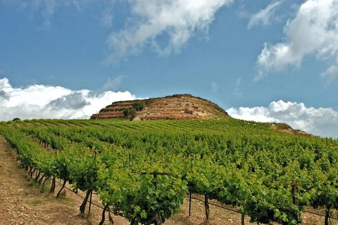 Crete Wine and Olive Oil Tour - Key things to know before booking