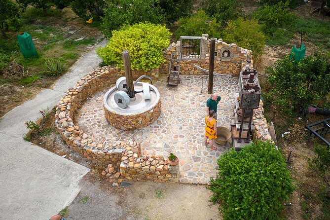 Crete Wine and Olive Oil Tour - From Chania to Anoskeli through the Kissamos countryside