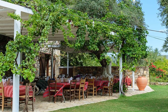 Crete Wine and Olive Oil Tour - What the wine and olive oil tastings are really like
