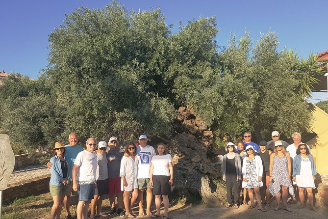 Crete Wine and Olive Oil Tour - Price, timing, and what you receive for $145.18