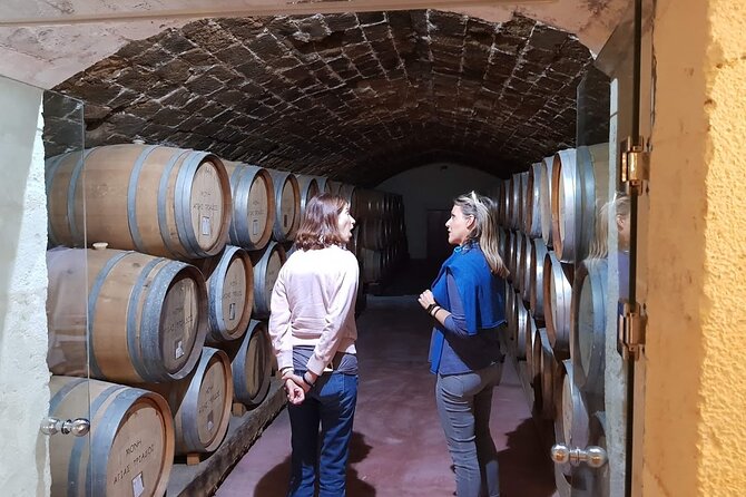 Crete Wine & Olive Oil Tour - Timing, pickup, and cruise-day planning