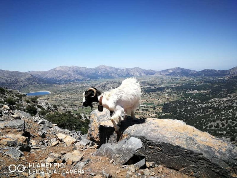 Crete: Zeus Cave, Lassithi Plateau, and Olive Factory Tour - Pottery you can touch, not just admire