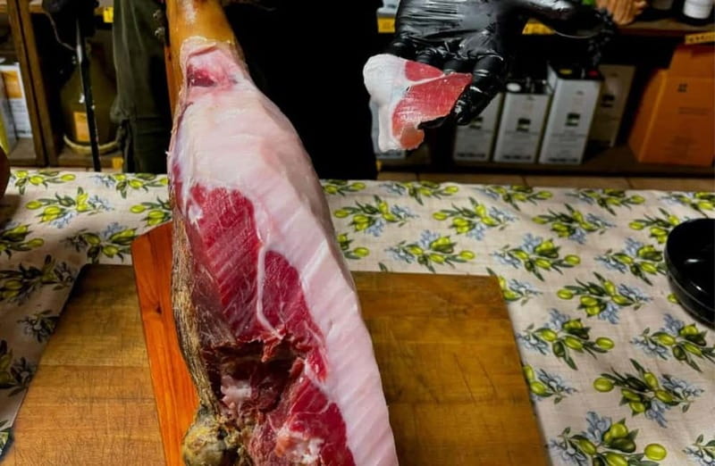Cured Meat & Olive Oil Tasting & Visit near Pisa & Livorno - Learning to taste Tuscan olive oil