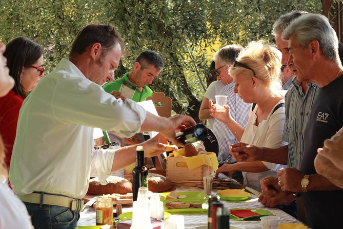 DA Abano and Montegrotto: Oil and Wine Tour of the Euganean Hills - Why the Euganean Hills make a good food stop