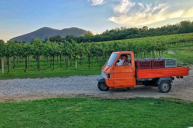 DA Abano and Montegrotto: Oil and Wine Tour of the Euganean Hills - Price, timing, and what you receive