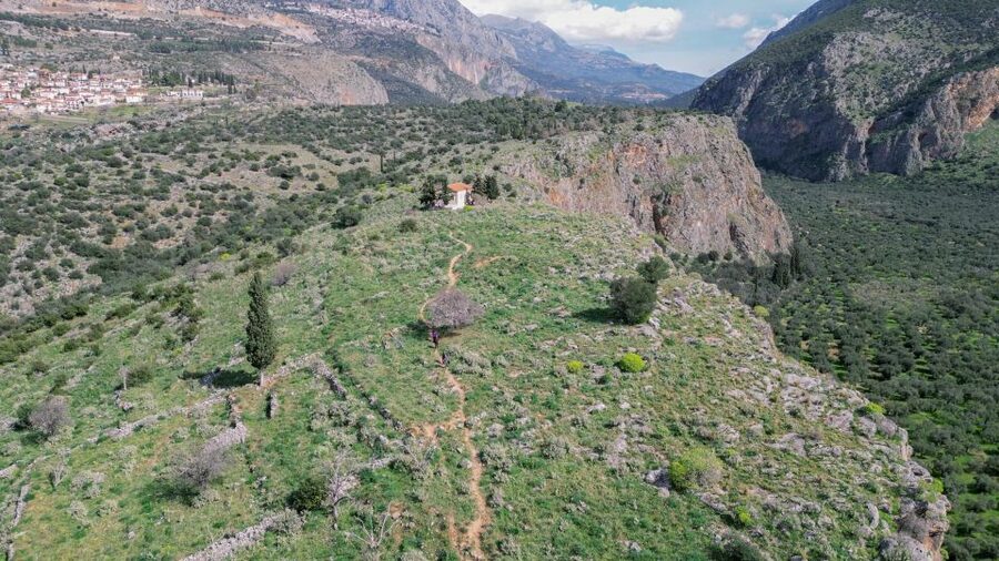 Delphi: Easy Hike on Ancient Path through the Olive Groves - Key points at a glance