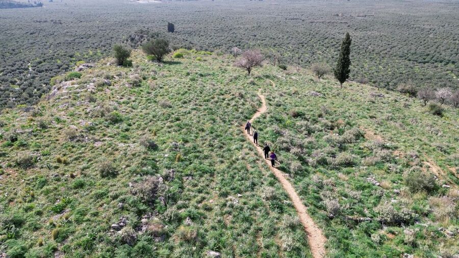 Delphi: Easy Hike on Ancient Path through the Olive Groves - Toward Aggali and the return ride