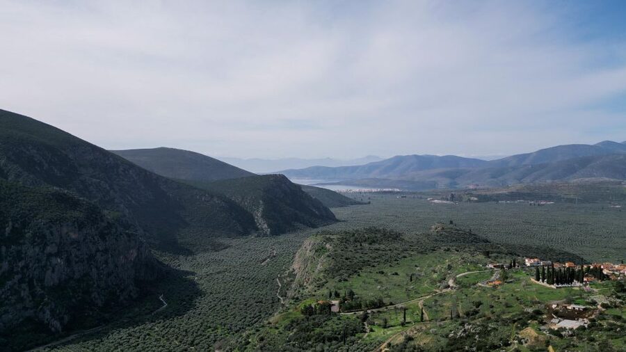 Delphi: Easy Hike on Ancient Path through the Olive Groves - Is $35 a fair price?