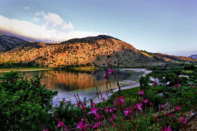 Discover Rethymno, Lake Kournas & the Secrets of Cretan Olive Oil - Timing, walking, and what to budget