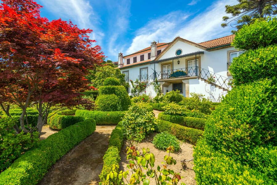 Douro Valley: A Sensory Experience in the Douro: Wines, Olive Oil, and History - Walking the Versailles-Inspired Gardens