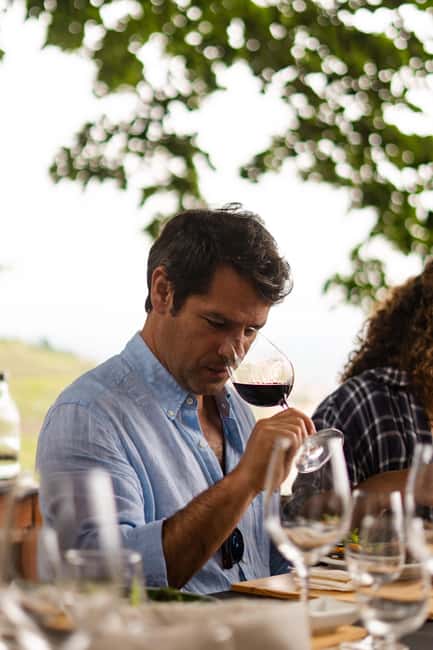 Douro Valley: A Sensory Experience in the Douro: Wines, Olive Oil, and History - What the $34 Price Really Buys