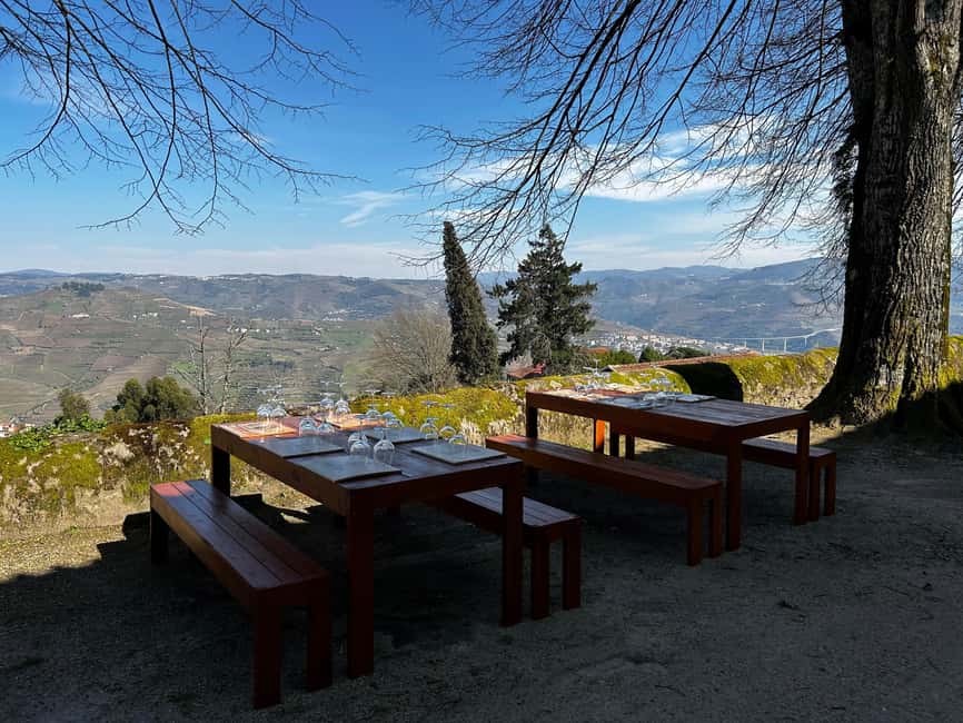 Douro Valley: A Sensory Experience in the Douro: Wines, Olive Oil, and History - Buying Wine and Olive Oil at the Source