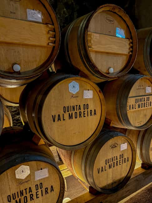 Douro Valley: Olive Oil & Wine Tour with Boat & Lunch - Key points at a glance