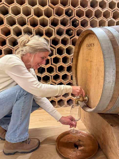 Douro Valley: Olive Oil & Wine Tour with Boat & Lunch - Group size, timing, and practical limits