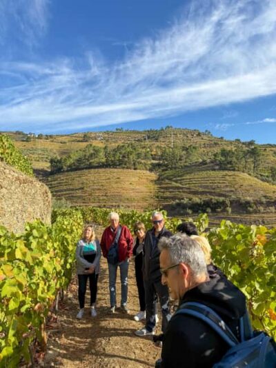 Douro Valley: Olive Oil & Wine Tour with Boat & Lunch