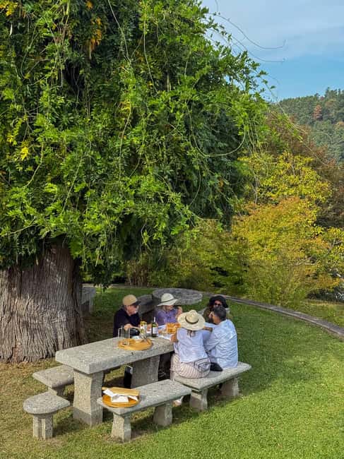 Douro Valley: Olive Oil & Wine Tour with Boat & Lunch - The private quinta lunch in Resende