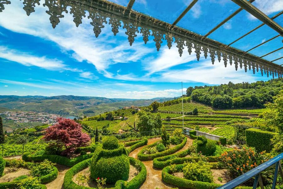 Douro Valley: Private Lunch with Wine & Olive Oil Tasting - Why Quinta de Santa Júlia feels different
