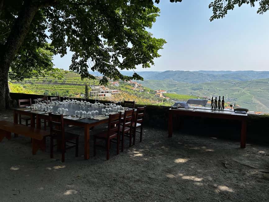 Douro Valley: Private Lunch with Wine & Olive Oil Tasting - Booking details worth checking