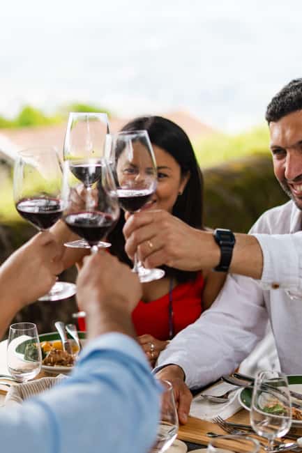 Douro Valley: Private Tour & Guided Wine & Olive Oil Tasting - What the wine discussion adds