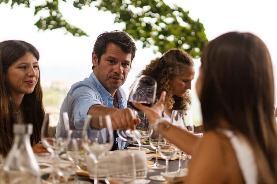 Douro Valley: Private Tour & Guided Wine & Olive Oil Tasting - My advice on booking Quinta de Santa Júlia