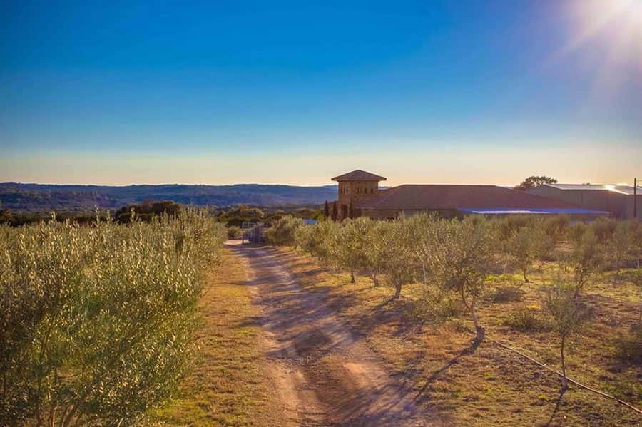 Dripping Springs: Olive Oil and Balsamic Vinegar Tasting - How the $25 price compares with the experience