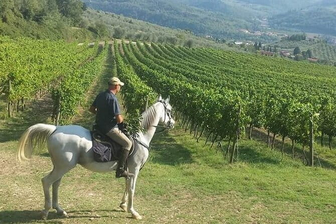 E-bike 2.5 hour Florence & Tuscany With Fresh Olive Oil and Bread - Olive oil, bread, and the final stop
