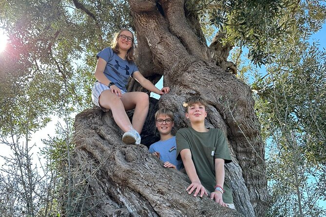 E-bike tour in Ostuni. Oil mill, Dolmen and huge olive trees - The dolmen and the coastal-road views