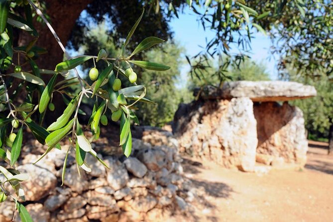 E-bike tour in Ostuni. Oil mill, Dolmen and huge olive trees - Inside the Montalbano oil mill